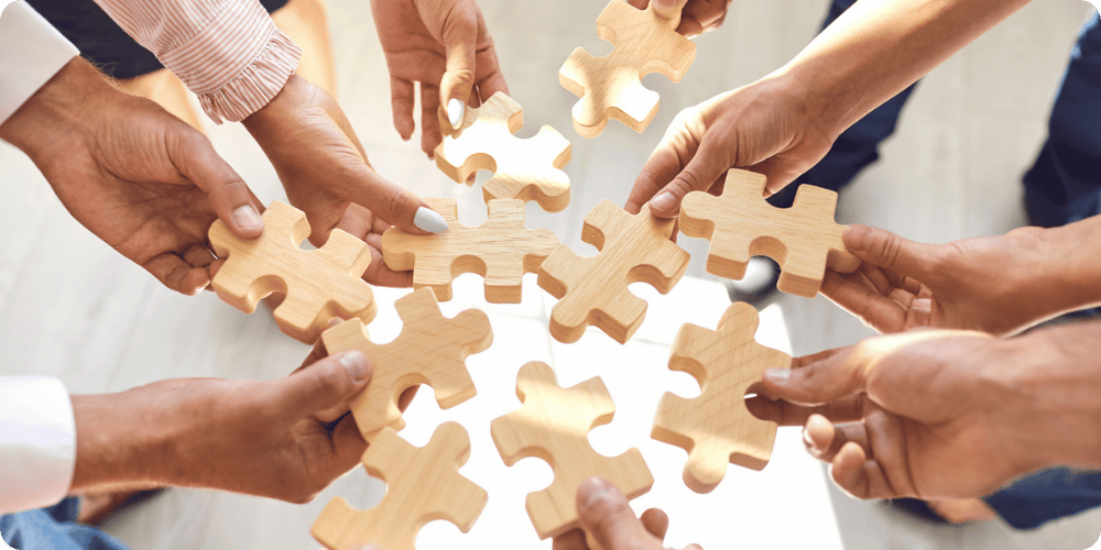 The Collective Social Enterprise